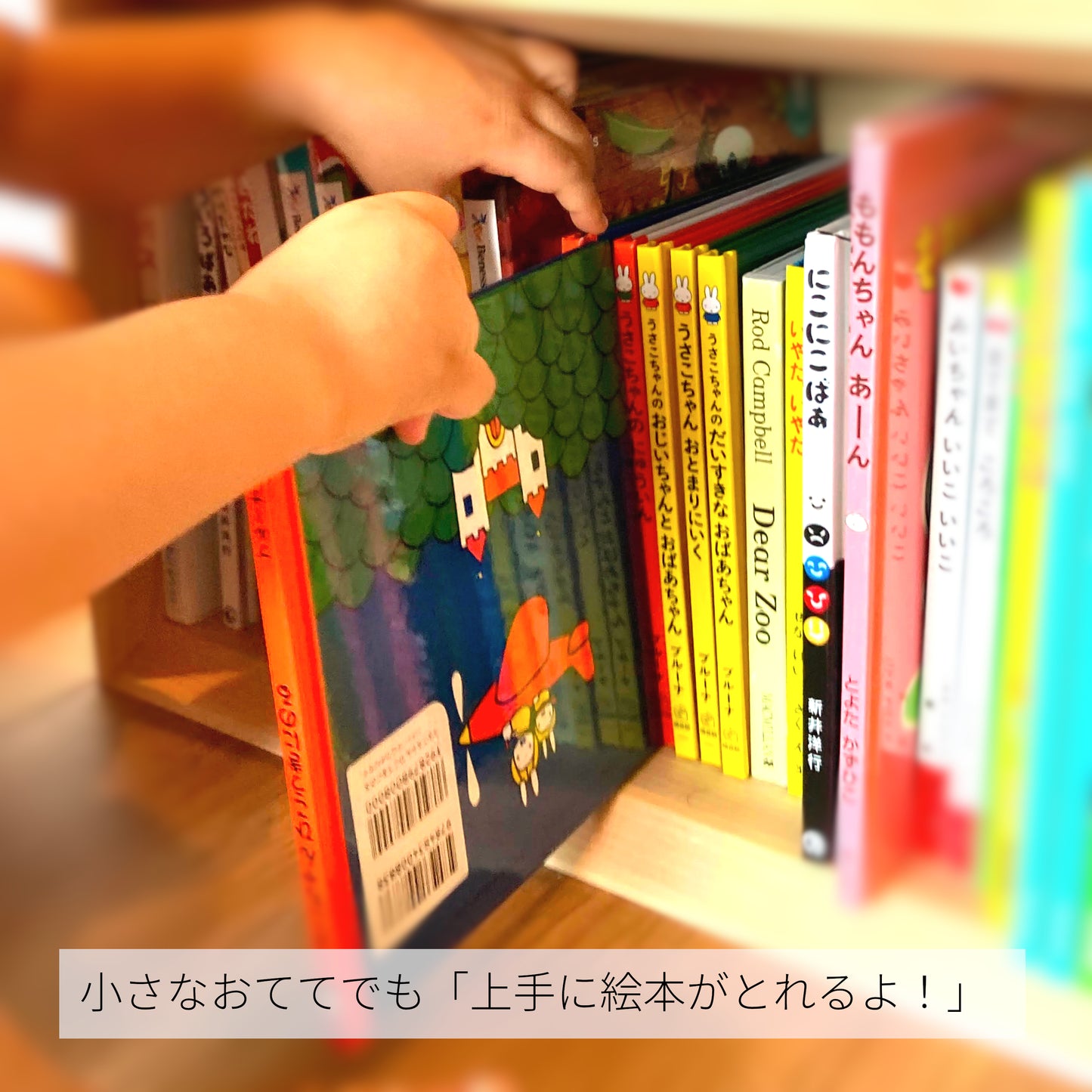 みんなの本棚